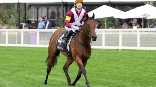 Arabian-Summer-Peter-Le-Grand-Stakes-102