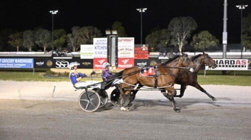 Captain-Hammerhead-Swayzee-Aussie-blog-F