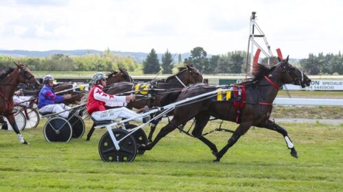 Chocolate-Crunch-finish-Amberley-Feb-202