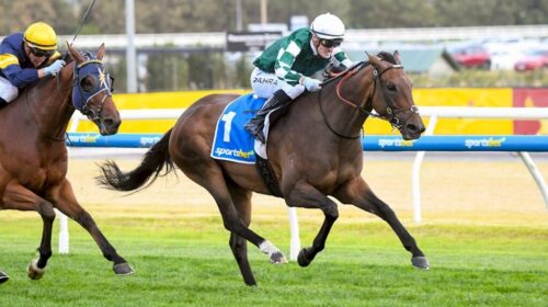 Deny-Knowledge-Victoria-Gold-Cup-1024x68