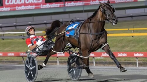 Dex-Dunn-blog-Albion-Park-UDC-Feb-2025__