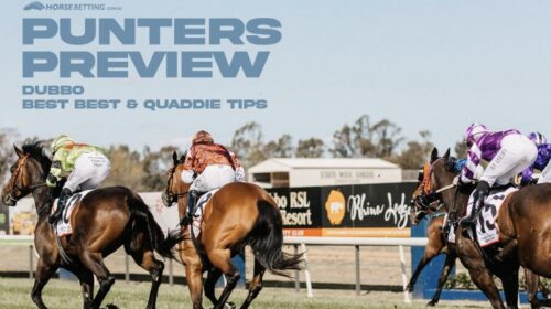 Dubbo-Punters-Preview-1024x650-1-500x280