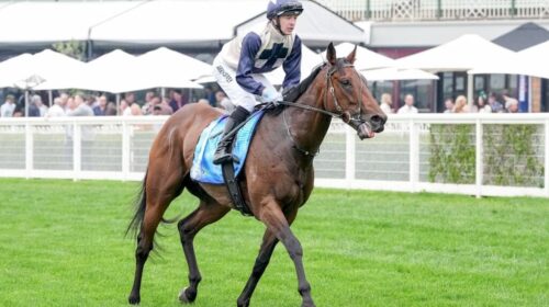 Duke-De-Sessa-JRA-Plate-1024x683-1-500x2