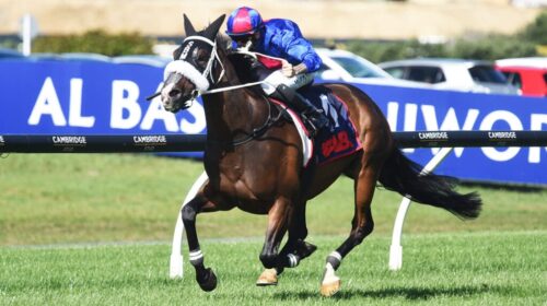 El-Vencedor-WFA-Classic-1024x577-1-500x2