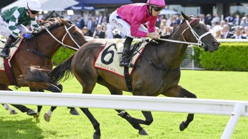 Fangirl-Apollo-Stakes-2025-1024x683-1-50