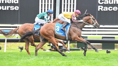 Field-Of-Play-Blue-Diamond-Prelude-1024x