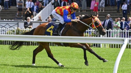 Firestorm-Millie-Fox-Stakes-1024x683-1-5