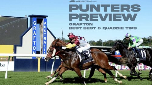 Grafton-Punters-Preview-1024x650-2-500x2
