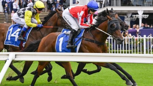 Grand-Impact-Rosehill-1024x683-1-500x280