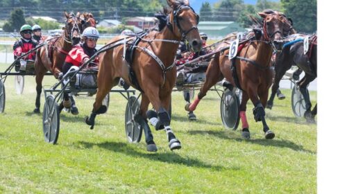 Helloveamoment-blog-marlborough-Jan-2025