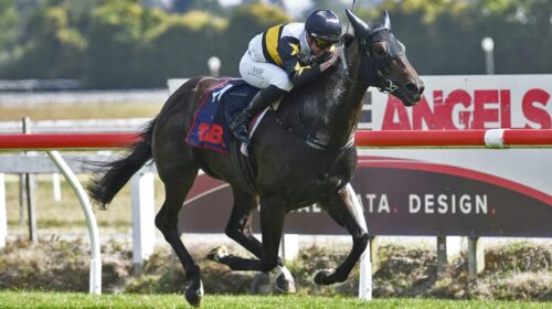 Here-To-Shock-BCD-Group-Sprint-1024x602-