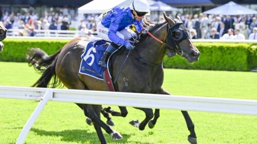 Inhibitions-Triscay-Stakes-1024x683-1-50