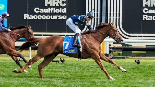 Jimmysstar-Oakleigh-Plate-1024x683-2-500