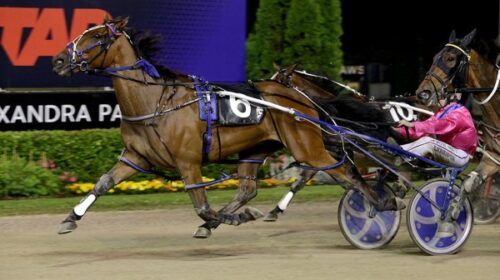 Joes-Rock-blog-Alex-Park-2024__ResizedIm