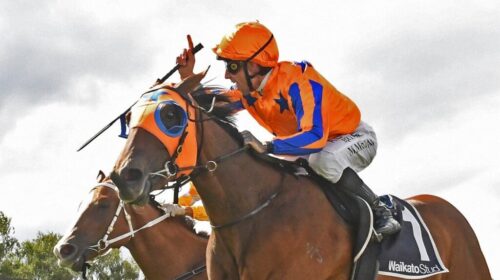 La-Dorada-Matamata-Breeders-Stakes-1024x