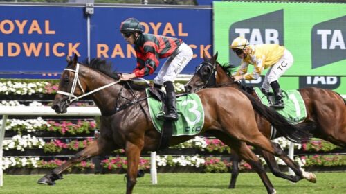 Lady-Shenandoah-Light-Fingers-Stakes-102