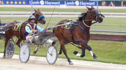 Lakelsa-addington-blog__ResizedImageWzYw