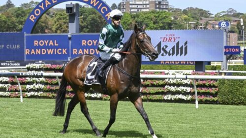 Magic-Time-Expressway-Stakes-1024x683-1-