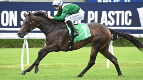 Manaal-Sweet-Embrace-Stakes-1024x683-1-5