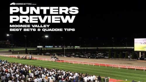 Moonee-Valley-Tips-Night-1024x650-1-500x