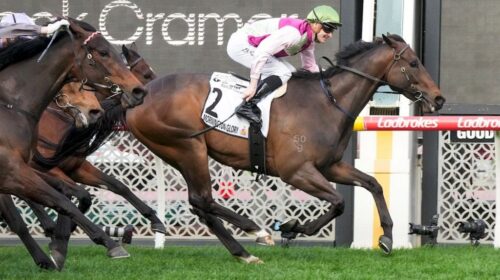 Mornington-Glory-Moir-Stakes-1024x683-2-