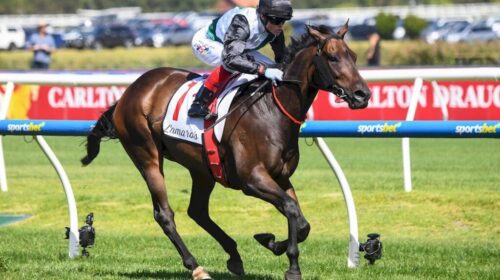 Mr-Brightside-2024-Futurity-Stakes-1024x