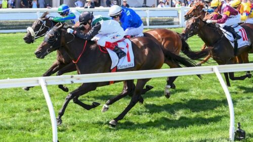 Mr-Brightside-Futurity-Stakes-1024x683-1