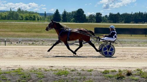 Nikita-Burton-blog-Stonewall__ResizedIma