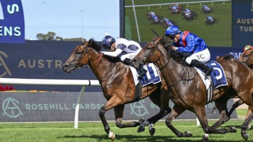 Our-Anchorage-Parramatta-Cup-1024x683-1-