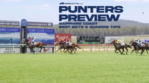 PP-SapphireCoast_new-1024x650-1-500x280.