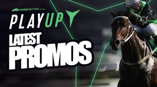 Playup_Promos_HB-1024x650-2-500x280.jpg