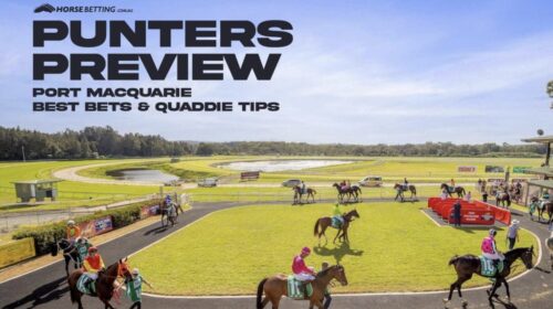 Port-Macquarie-Tips-1024x650-1-500x280.j