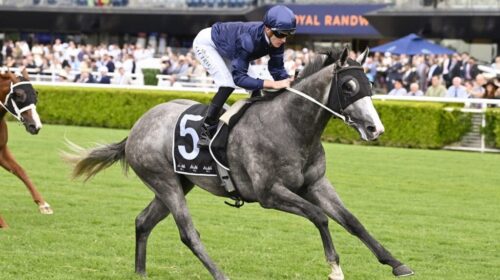 Public-Attention-Eskimo-Prince-Stakes-10