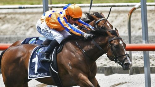 Return-To-Conquer-Matamata-Slipper-1024x