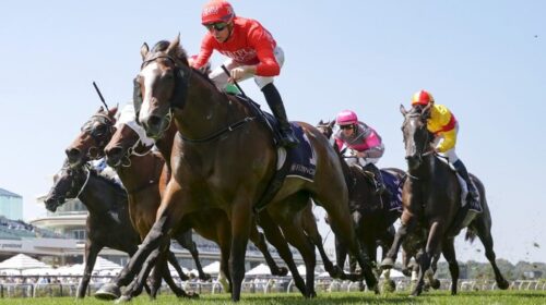 Revolutionary-Miss-Frances-Tressady-Stak