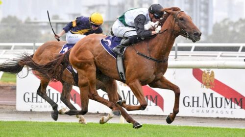 Rise-At-Dawn-Elms-Handicap-1024x683-1-50