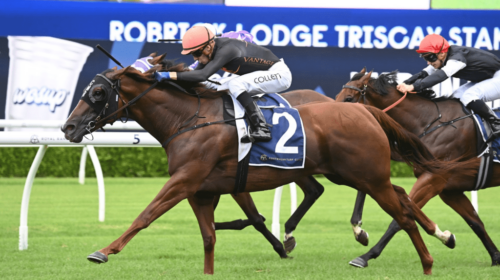 Semana-Triscay-Stakes-1024x683-1-500x280