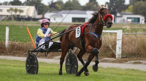 Sharma-Trouble-blog-Methevn-Feb-2025__Re