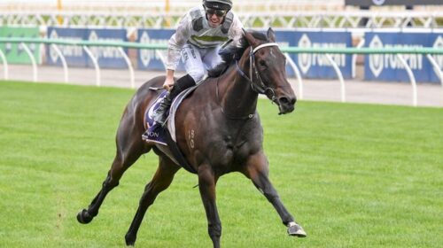 Skybird-Black-Caviar-Lightning-1024x683-