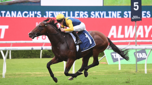 Storm-Boy-Skyline-Stakes-1024x683-1-500x