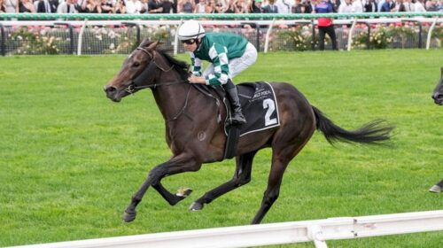 Treasurethe-Moment-1024x683-1-500x280.jp