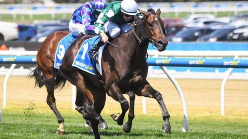 Treasurethe-Moment-Angus-Armanasco-Stake