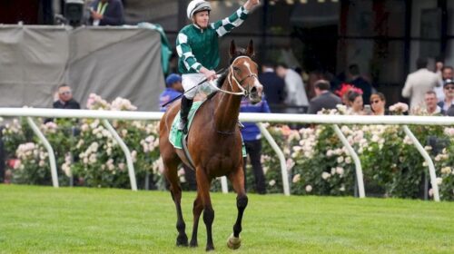 Via-Sistina-Champions-Stakes-1024x683-1-