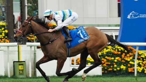 Voyage-Bubble-Hong-Kong-Gold-Cup-1024x68