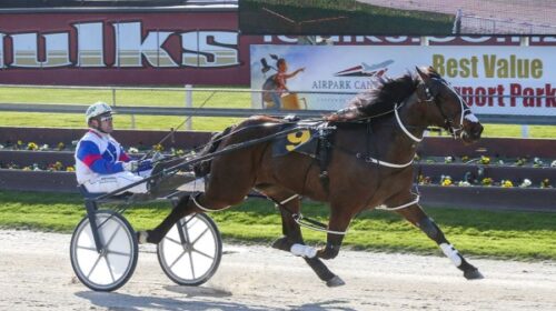 Wag-Star-blog__ResizedImageWzYwMCwzNDdd-