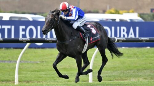 Alabama-Lass-Kings-Plate-1024x577-1-500x