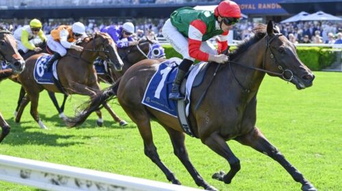 Amelias-Jewel-Guy-Walter-Stakes-1024x683