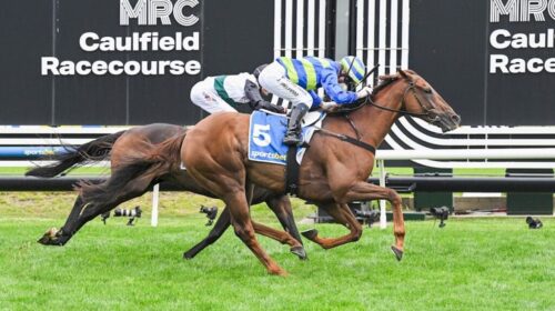 Another-Wil-CF-Orr-Stakes-1024x683-1-500