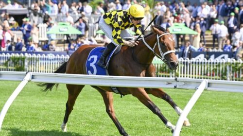 Autumn-Glow-Darby-Munro-Stakes-1024x683-