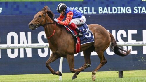 Bella-Nipotina-Russell-Balding-Stakes-10